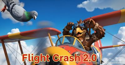 Bird Crash